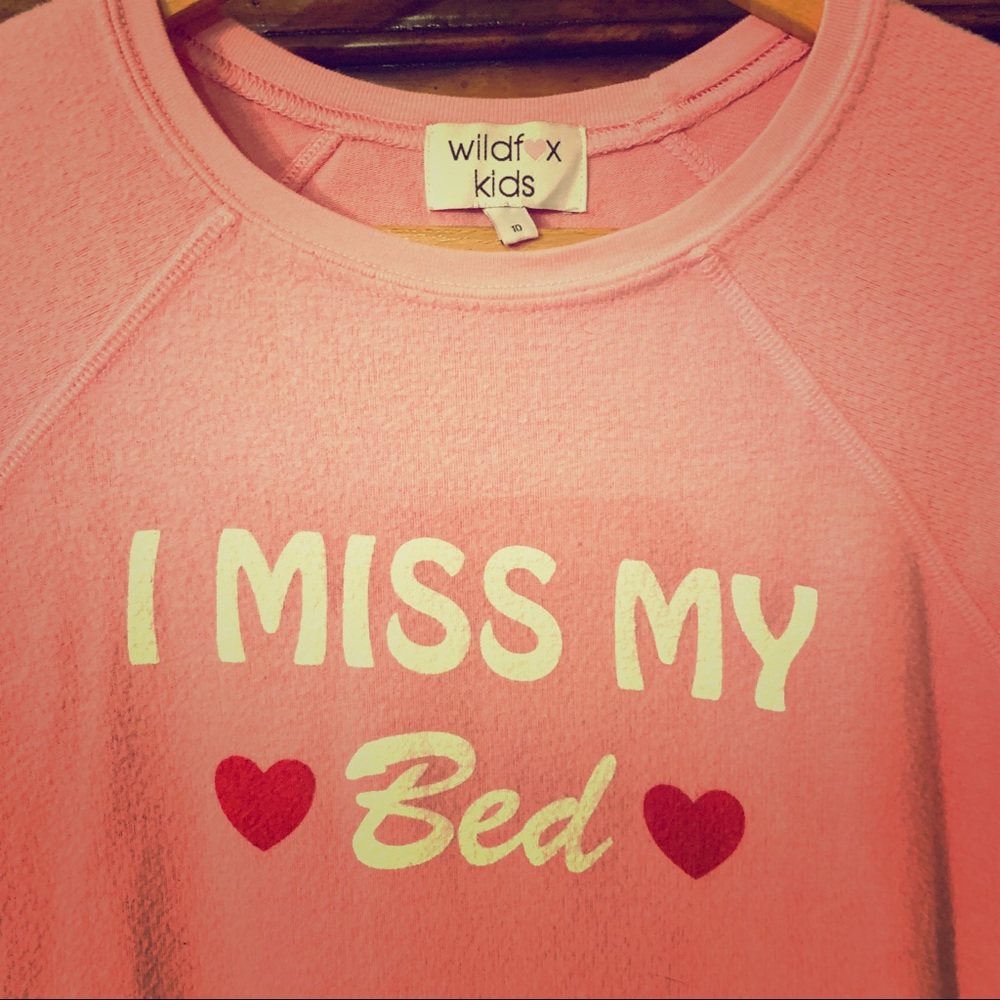 Wildfox ⭐️⭐️ soft sweatshirt
